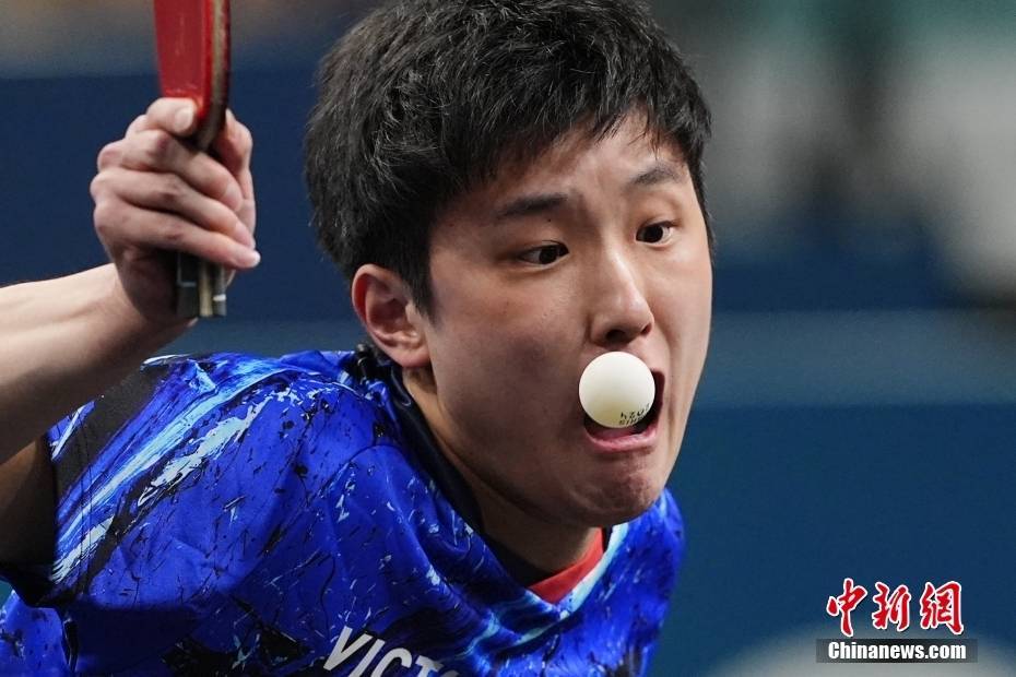 日本乒乓球队完胜比利时乒乓球队,波尔关键制胜的简单介绍 日本乒乓球队完胜比利时乒乓球队,波尔关键制胜的简单介绍