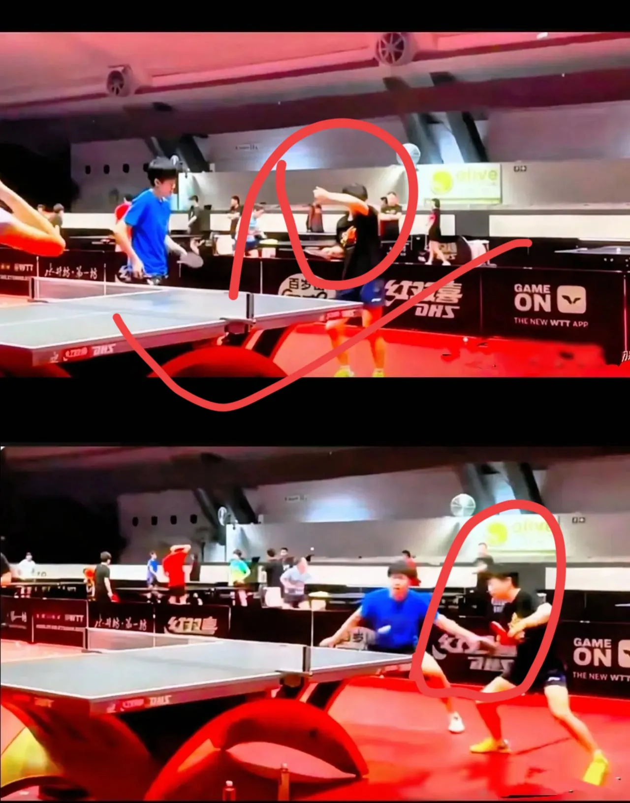 包含比利时乒乓球队绝杀中国乒乓球队，奥恰洛夫制霸全场的词条