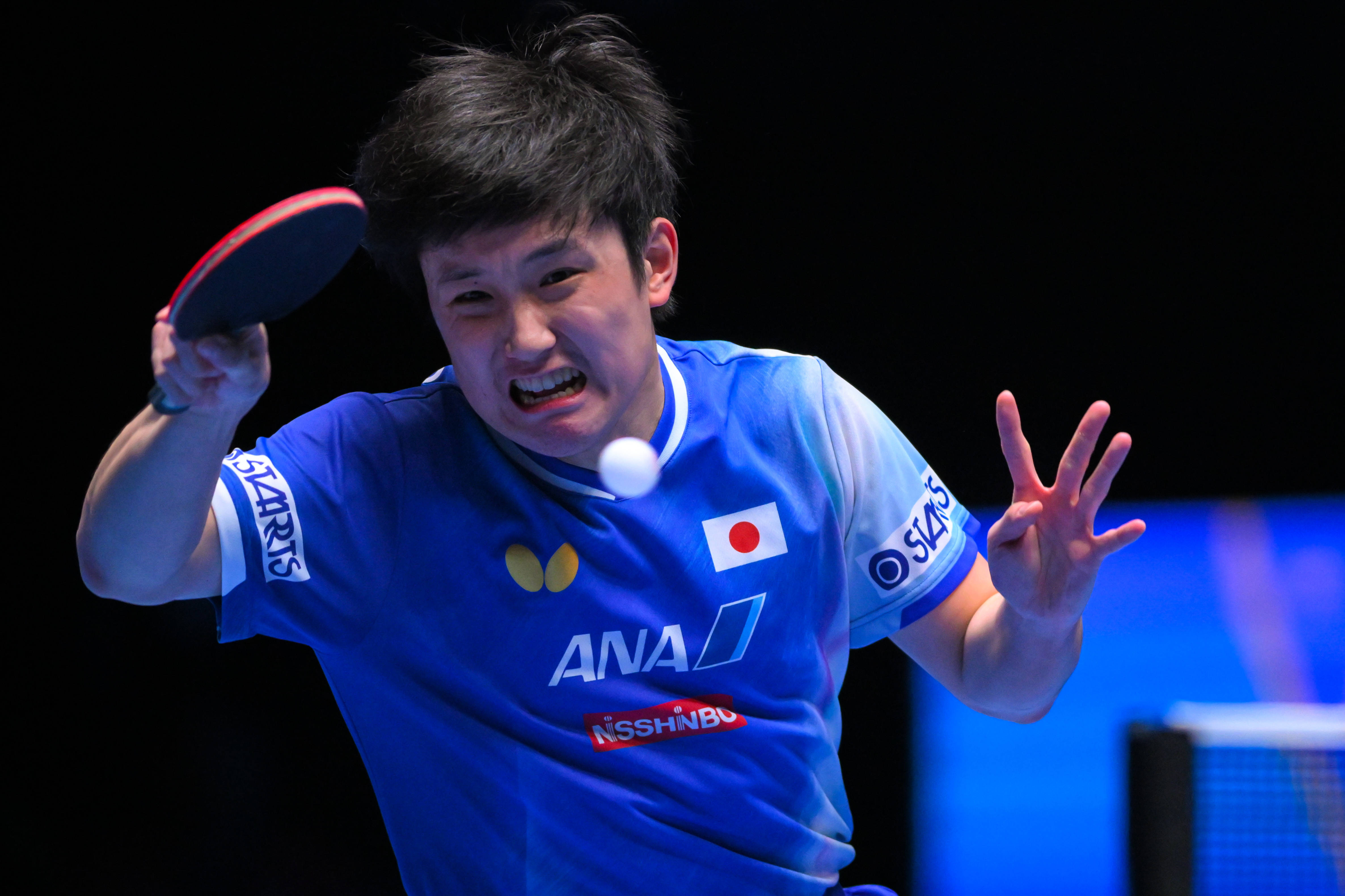 比利时乒乓球队逆转日本乒乓球队，张本智和绝境逆转的简单介绍