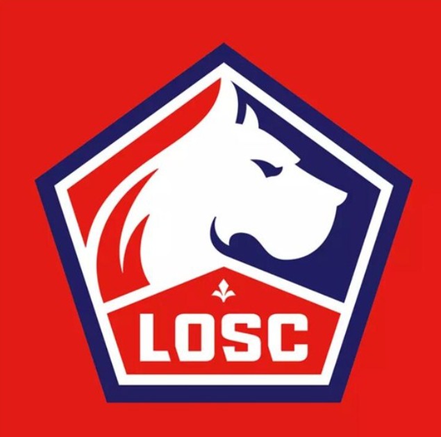 开云体育中国官网-里尔客场小胜摩纳哥，法甲领头羊保持不败的简单介绍