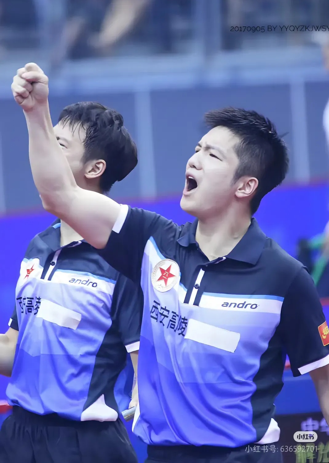 法国队翻盘日本队,樊振东点燃赛场 法国队翻盘日本队,樊振东点燃赛场