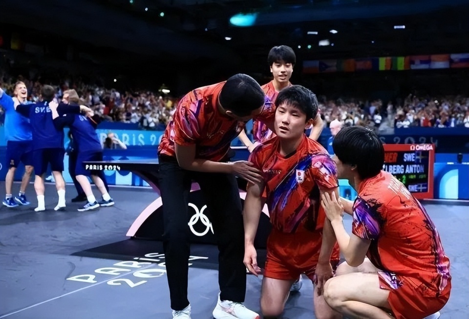 关于中国队轻取瑞典队，张本智和惊艳四座的信息