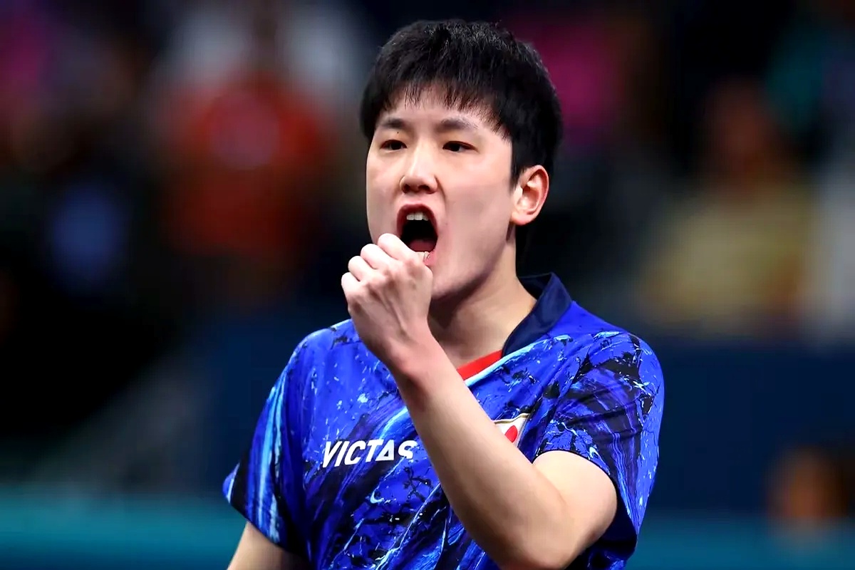 关于中国队轻取瑞典队，张本智和惊艳四座的信息