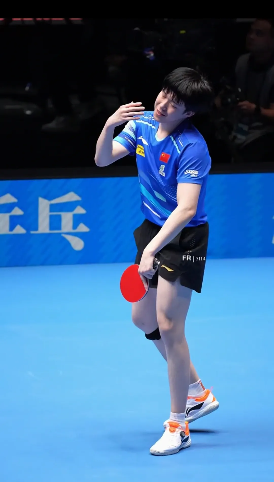 奥地利队轻取日本队，许昕惊艳四座的简单介绍