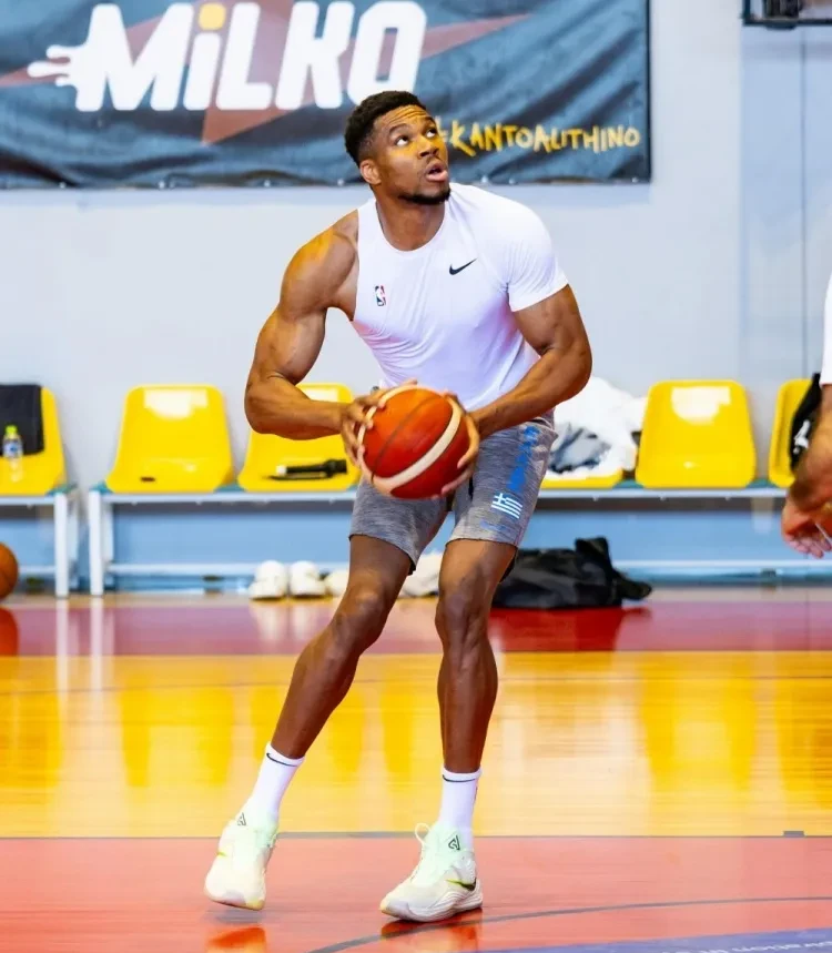 猛龙翻盘国王，约基奇制霸全场的简单介绍