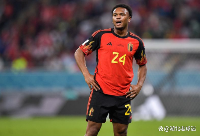 关于比利时乒乓球队翻盘英国乒乓球队，波尔三分雨点燃全场的信息